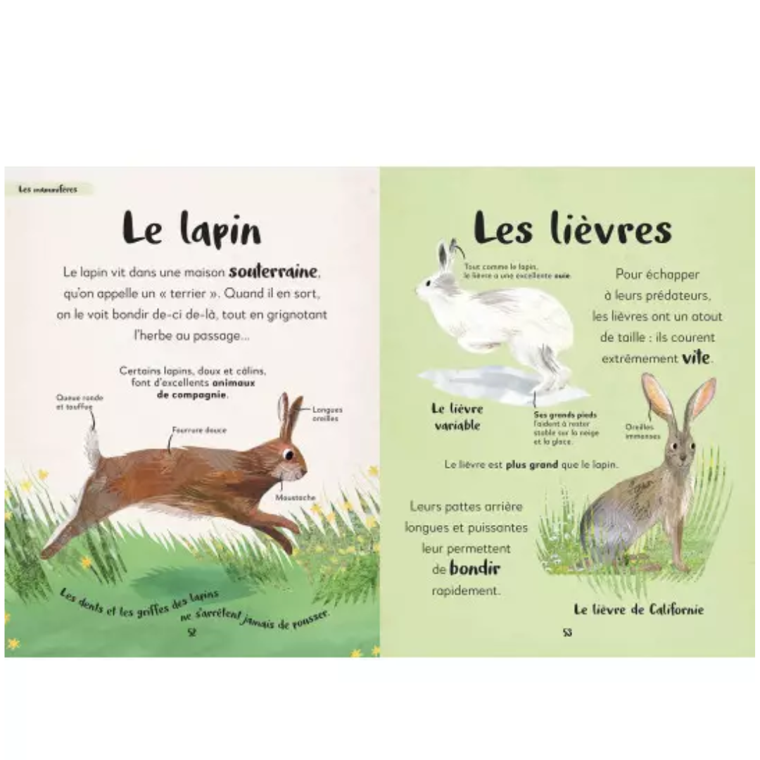 Ma première anthologie des animaux