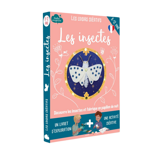 KIT DIY | Les insectes