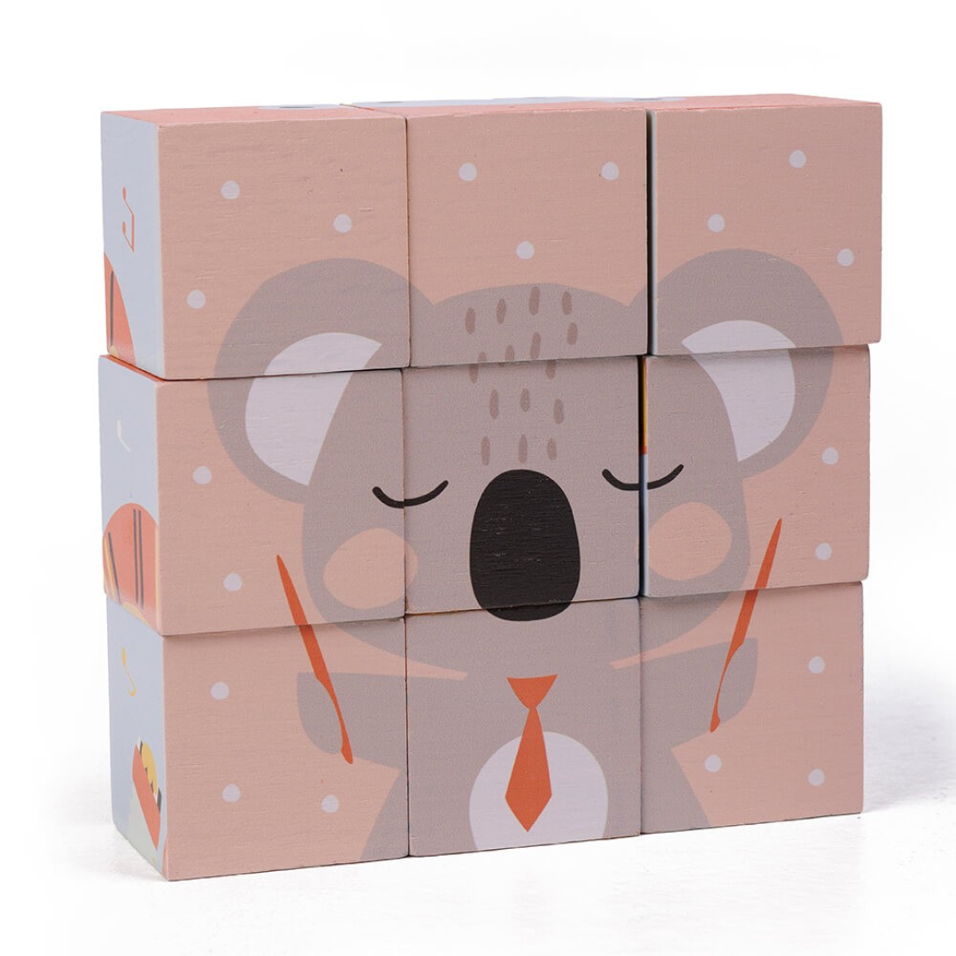 Puzzle cubes | 9 pièces