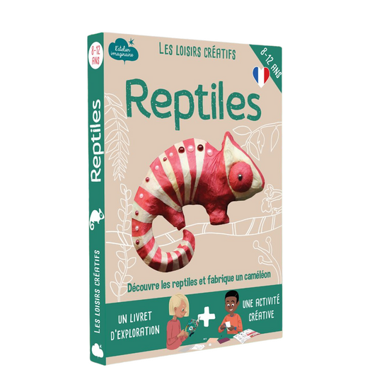 Kit DIY | Les reptiles