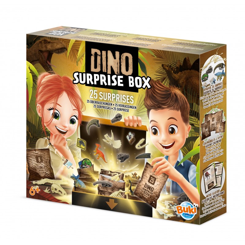 Dino surprise | Boîte-Buki-Super Châtaigne-Jeux éducatifs : Product type