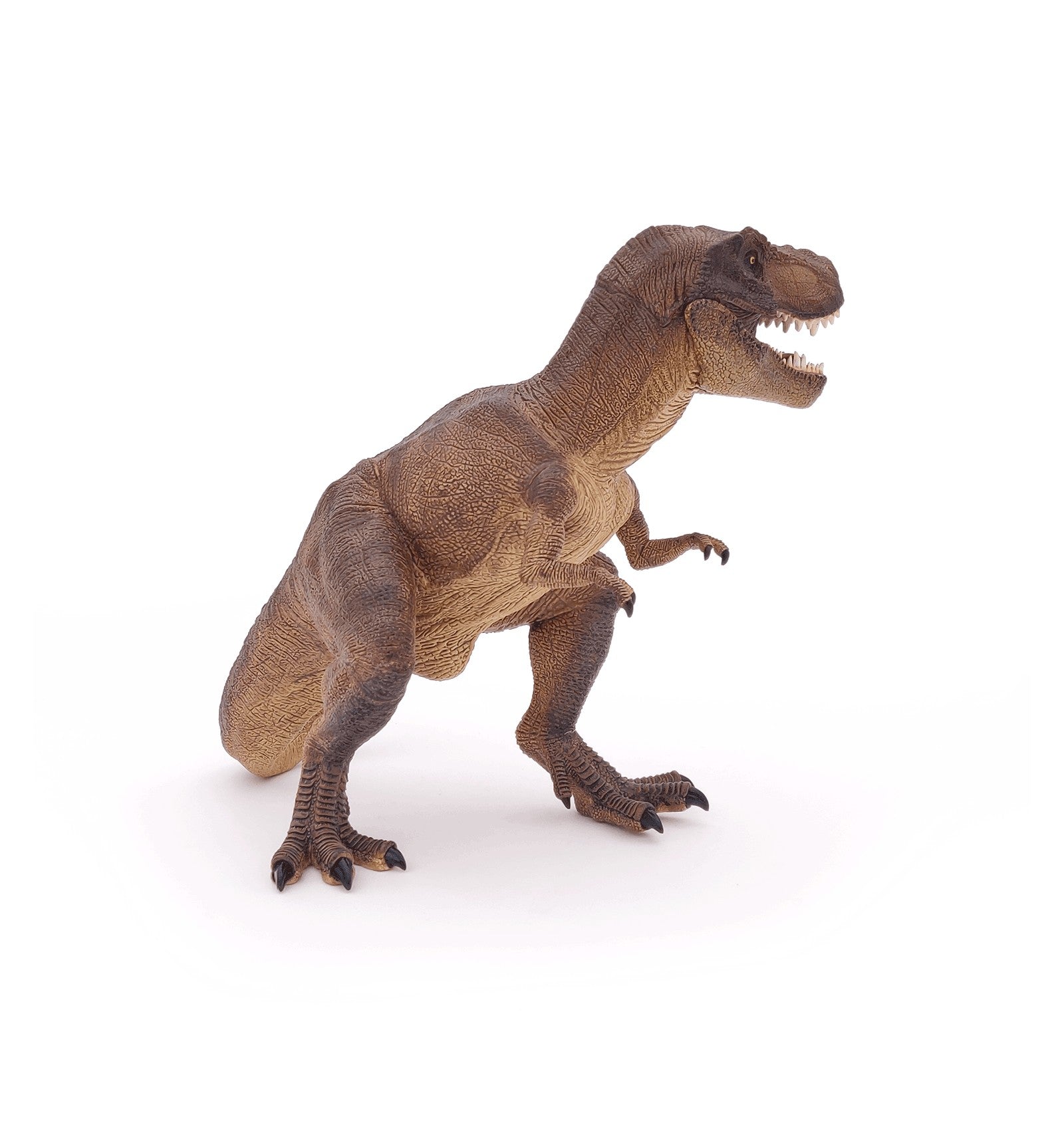 Figurine - T-Rex-Papo-Super Châtaigne-Imitation : Product type