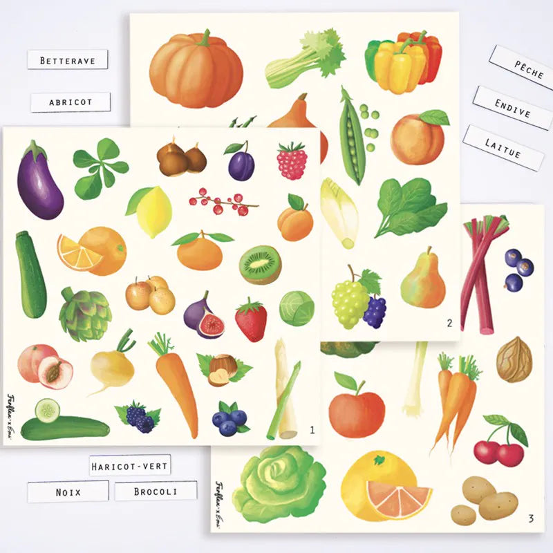 Jeu magnétique - Fruits et légumes-Ferflex-Super Châtaigne-Jeux éducatifs : Product type