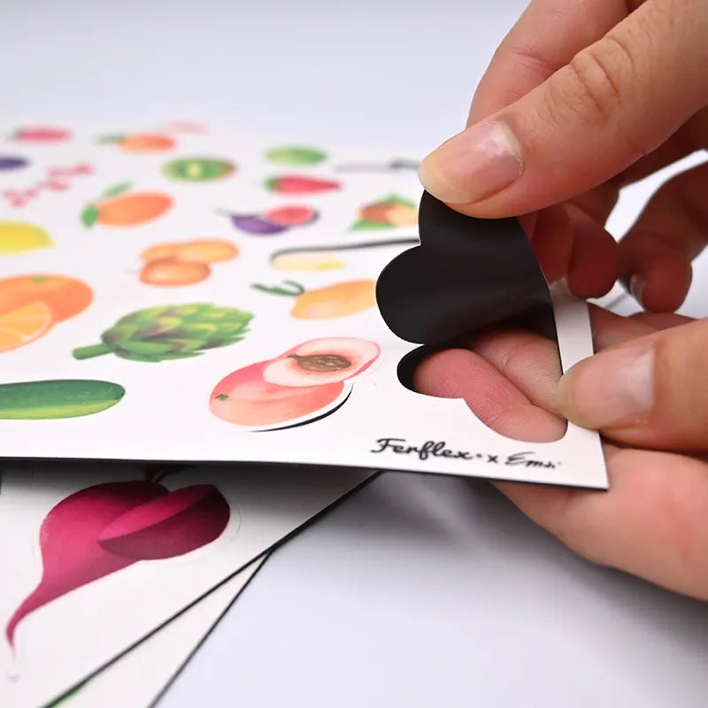 Jeu magnétique - Fruits et légumes-Ferflex-Super Châtaigne-Jeux éducatifs : Product type