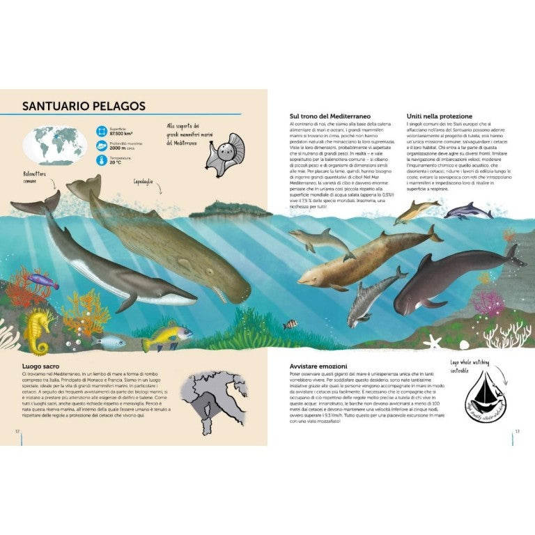 L'atlas de la biodiversité - Mers et océans-Sassi-Super Châtaigne-Livres & Cie : Product type