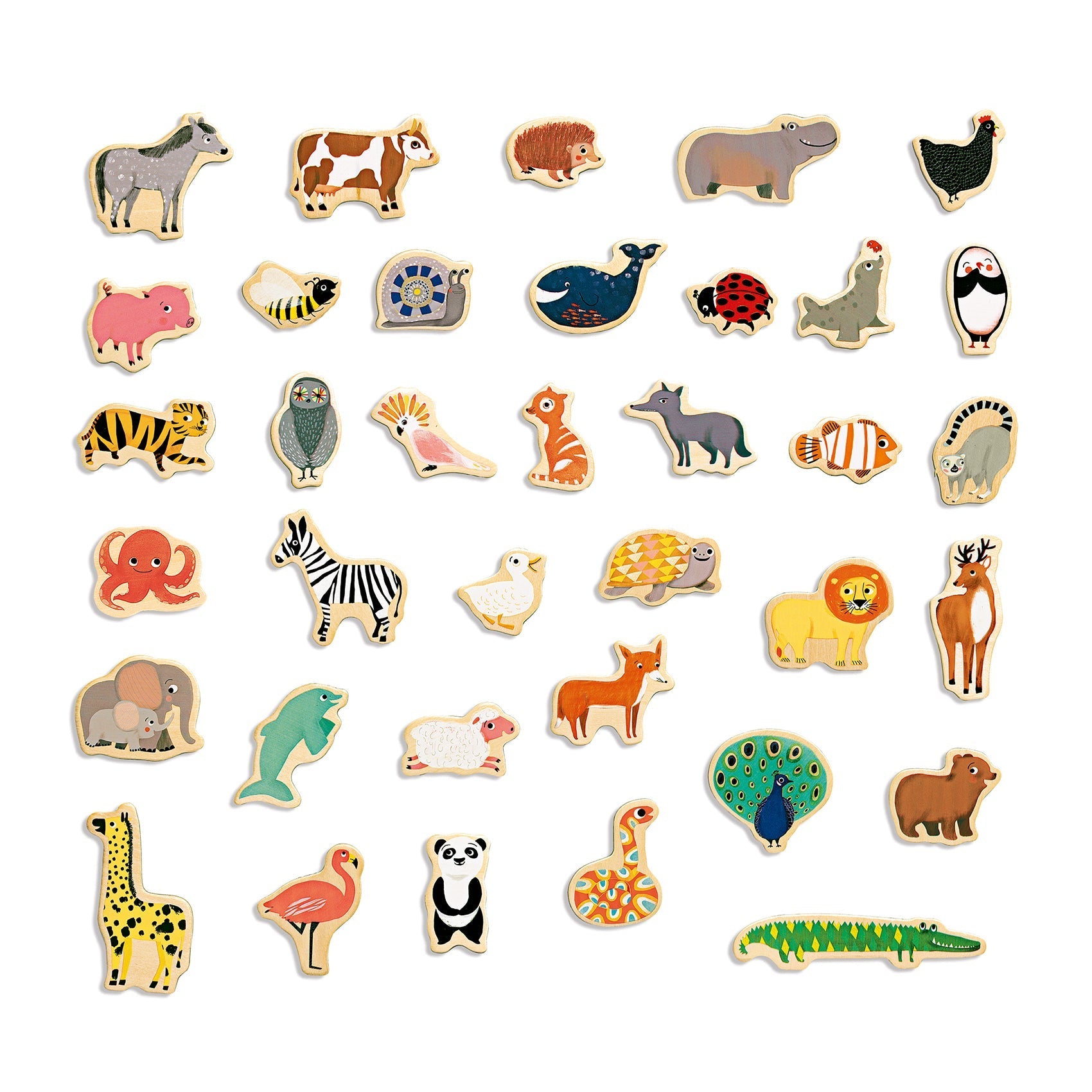 Magnets animaux - Magnimo-Djeco-Super Châtaigne-Jeux éducatifs : Product type