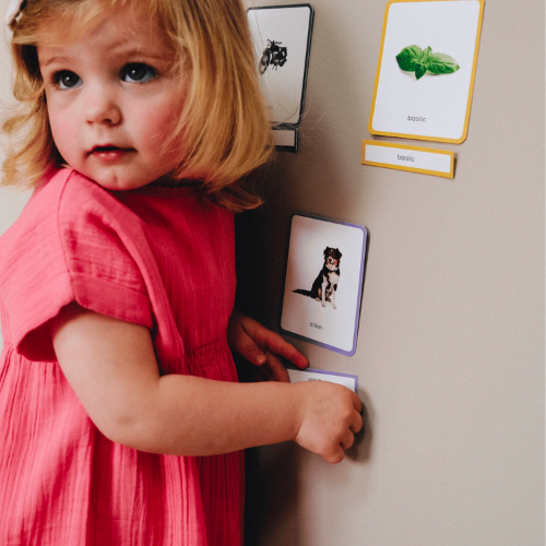 Mini Mondy | Maison-Observe Montessori-Super Châtaigne-Jeux éducatifs : Product type