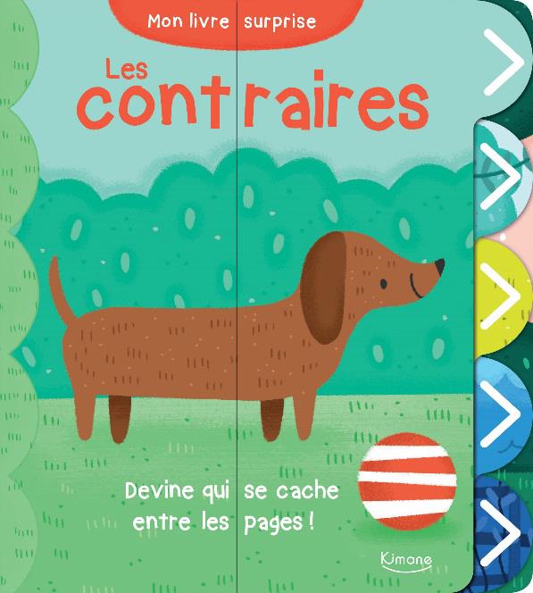 Mon livre surprise - Les contraires-Éditions Kimane-Super Châtaigne-Livres & Cie : Product type