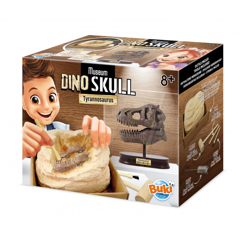 Museum Skull Tyrannnosaurus-Buki-Super Châtaigne-Jeux éducatifs : Product type