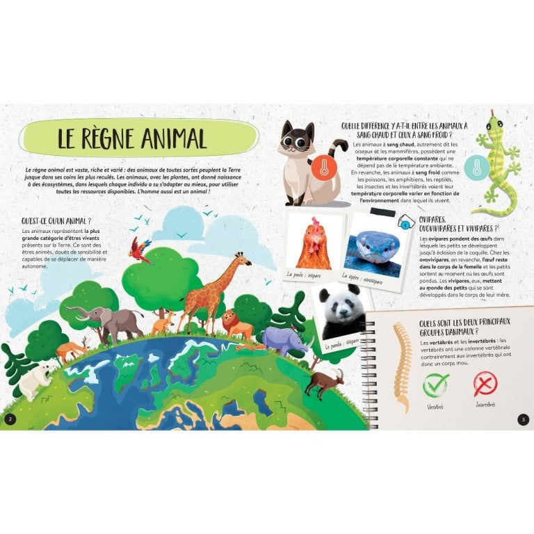 Quand, comment, pourquoi - Les animaux-Sassi-Super Châtaigne-Livres & Cie : Product type